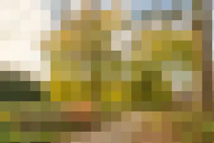Marcantilaan 369 Amsterdam thumbnail 22
