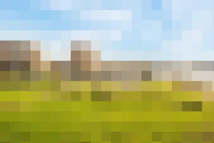 Marcantilaan 369 Amsterdam thumbnail 24