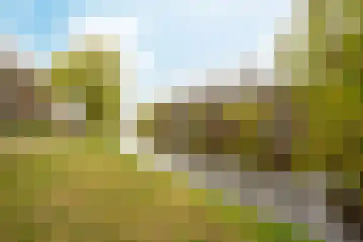 Marcantilaan 369 Amsterdam thumbnail 27