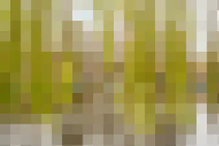 Marcantilaan 369 Amsterdam thumbnail 28