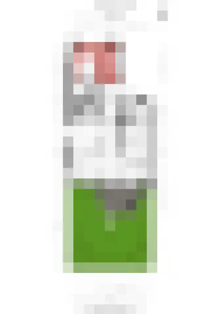 Marcantilaan 369 Amsterdam thumbnail 29