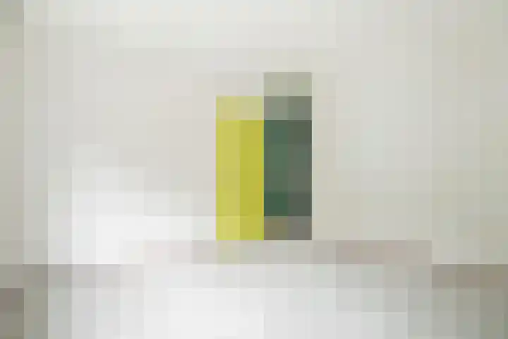 Marcantilaan 379 Amsterdam thumbnail 13