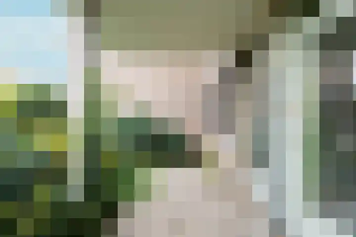 Marcantilaan 379 Amsterdam thumbnail 20