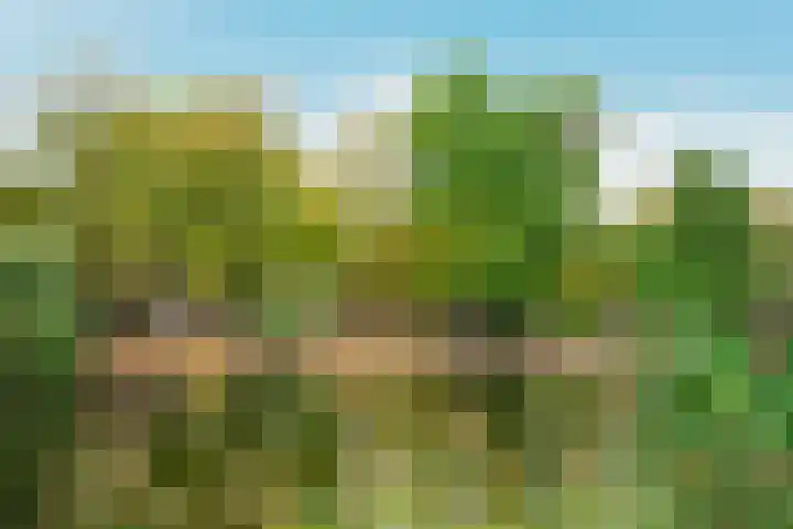 Marcantilaan 379 Amsterdam thumbnail 25