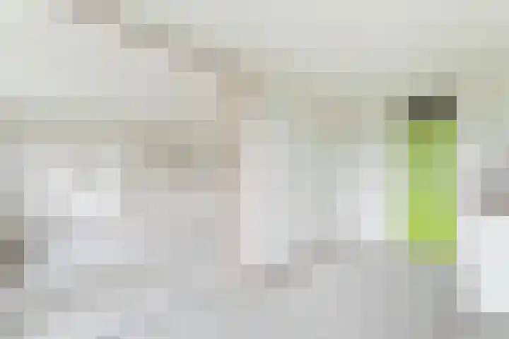 Marcantilaan 379 Amsterdam thumbnail 7