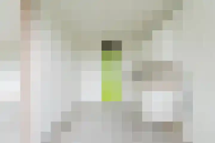 Marcantilaan 379 Amsterdam thumbnail 8