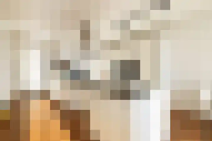 Marcantilaan 380 Amsterdam thumbnail 10