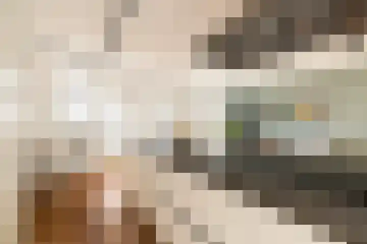 Marcantilaan 380 Amsterdam thumbnail 13