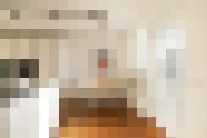 Marcantilaan 380 Amsterdam thumbnail 17