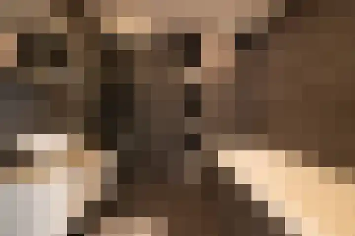 Marcantilaan 380 Amsterdam thumbnail 27
