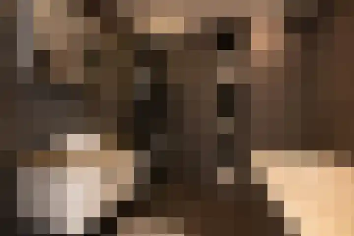 Marcantilaan 380 Amsterdam thumbnail 28