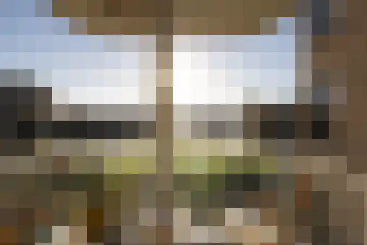 Marcantilaan 380 Amsterdam thumbnail 33