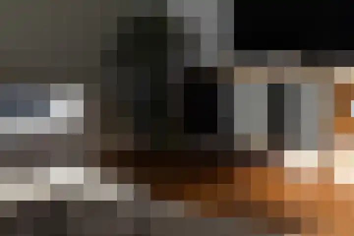 Marcantilaan 380 Amsterdam thumbnail 34