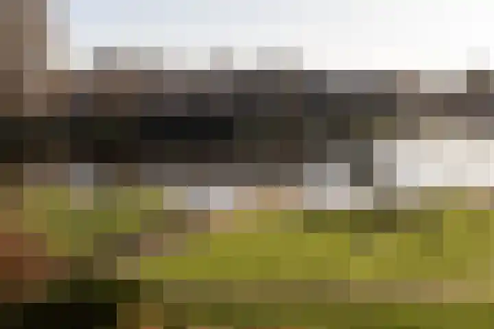 Marcantilaan 380 Amsterdam thumbnail 38