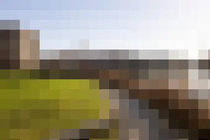 Marcantilaan 380 Amsterdam thumbnail 40