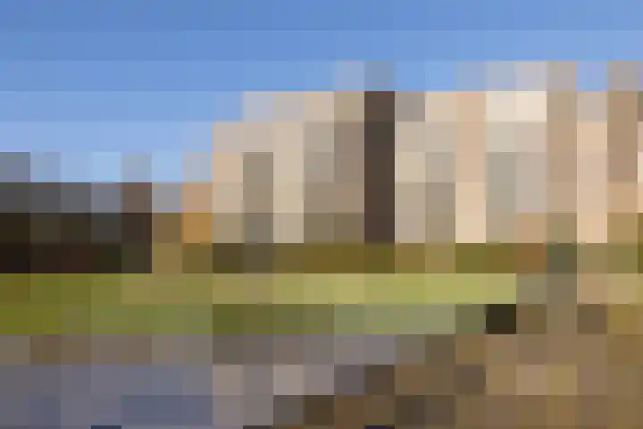 Marcantilaan 380 Amsterdam thumbnail 42