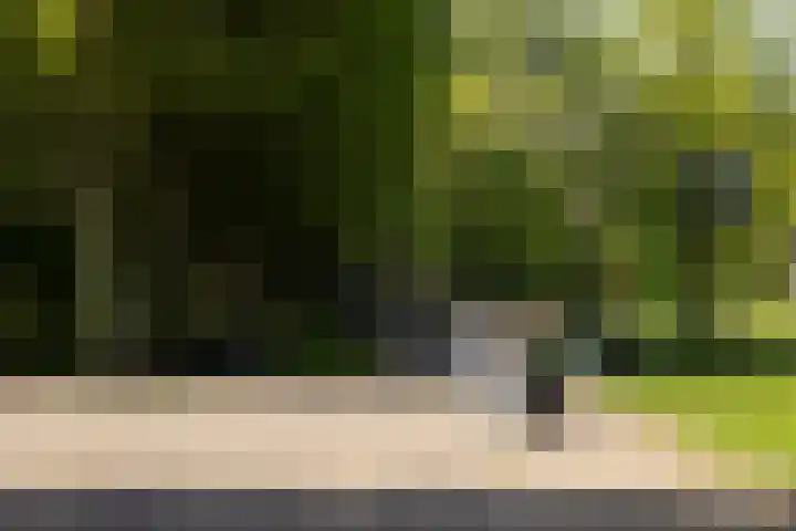 Marcantilaan 380 Amsterdam thumbnail 47
