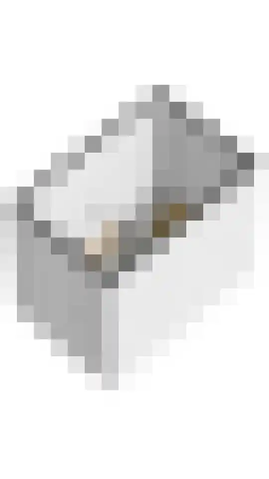 Marcantilaan 380 Amsterdam thumbnail 51