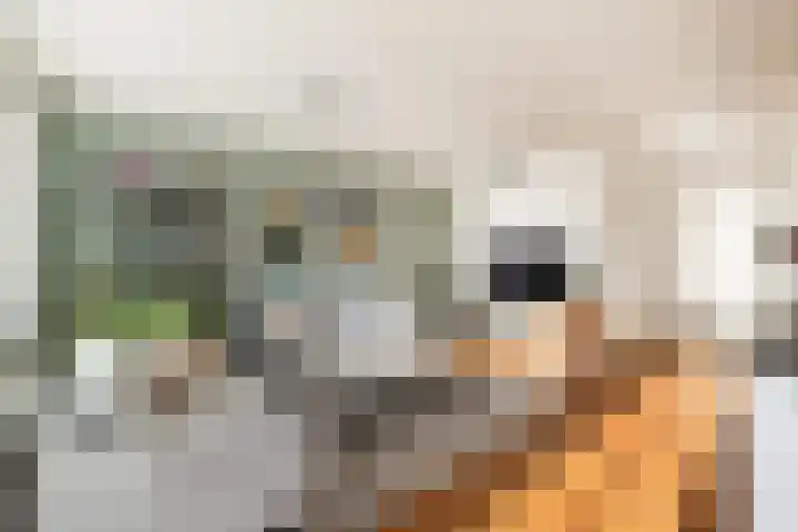 Marcantilaan 380 Amsterdam thumbnail 6