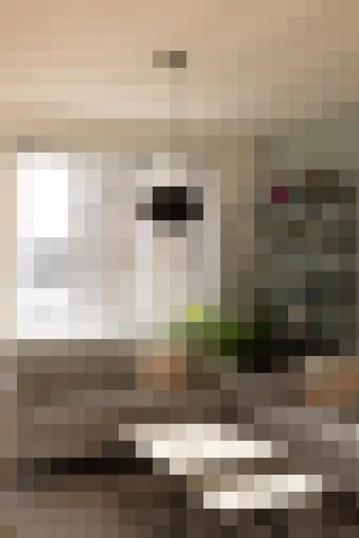 Marcantilaan 380 Amsterdam thumbnail 9