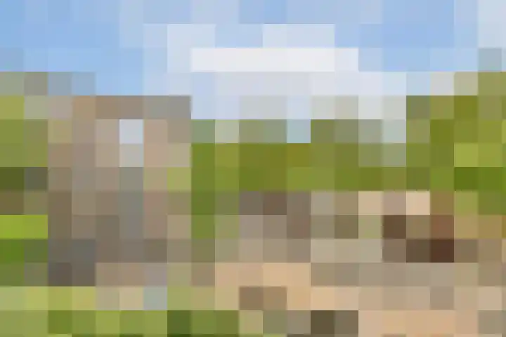 Marcantilaan 4 Amsterdam thumbnail 11