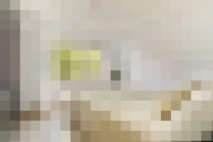 Marcantilaan 4 Amsterdam thumbnail 15