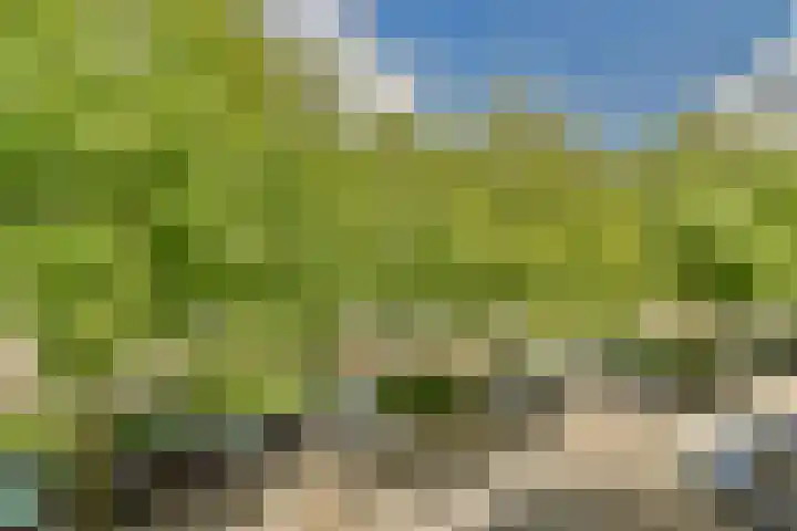 Marcantilaan 4 Amsterdam thumbnail 17