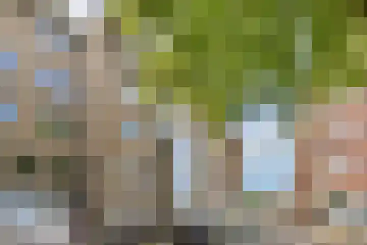 Marcantilaan 4 Amsterdam thumbnail 21