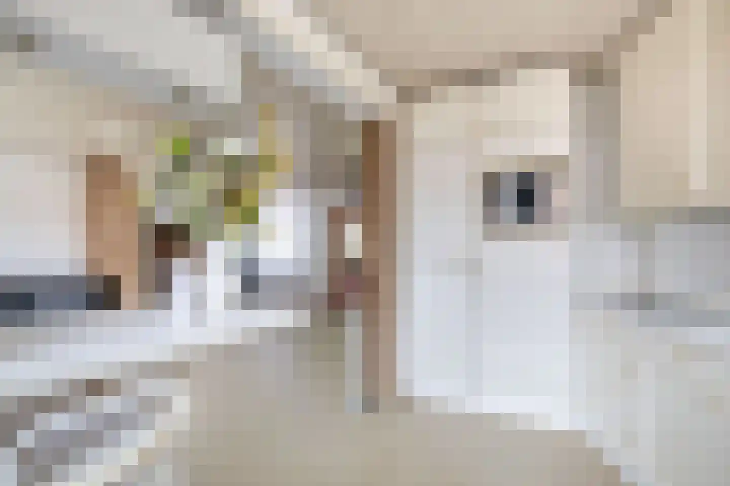 Marcantilaan 4 Amsterdam thumbnail 23
