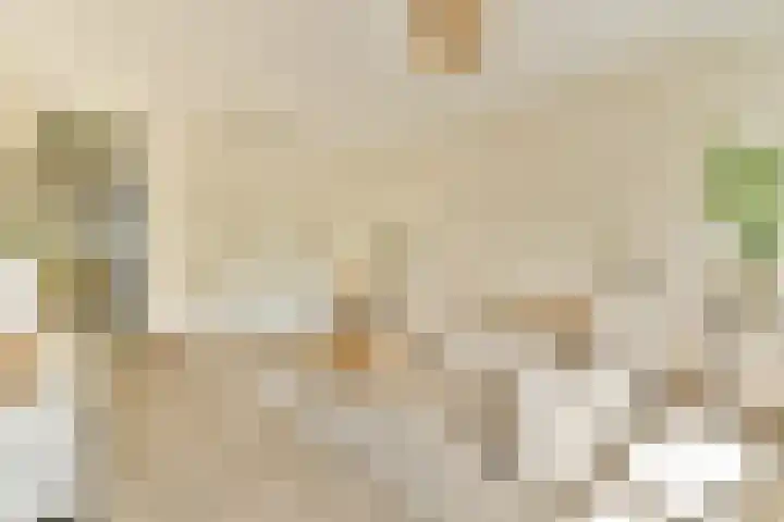 Marcantilaan 4 Amsterdam thumbnail 7