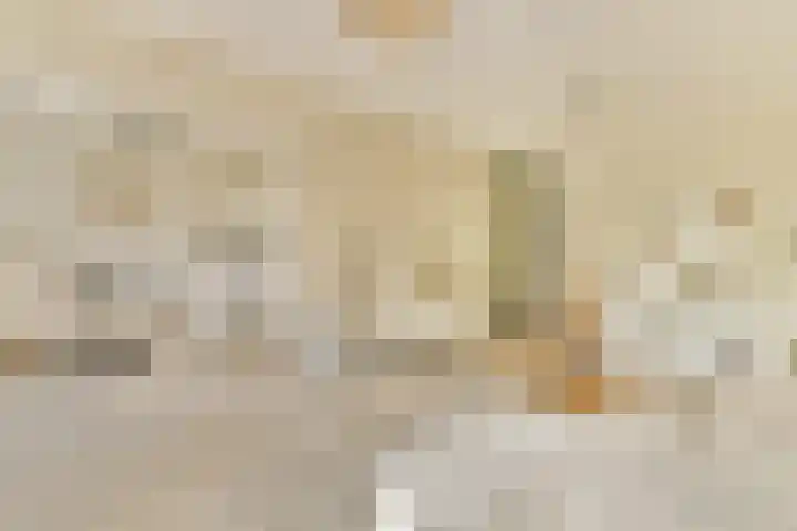 Marcantilaan 4 Amsterdam thumbnail 8