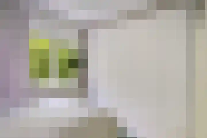 Marcantilaan 407 Amsterdam thumbnail 14