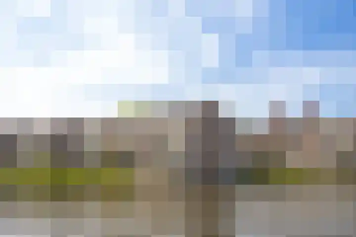 Marcantilaan 407 Amsterdam thumbnail 19