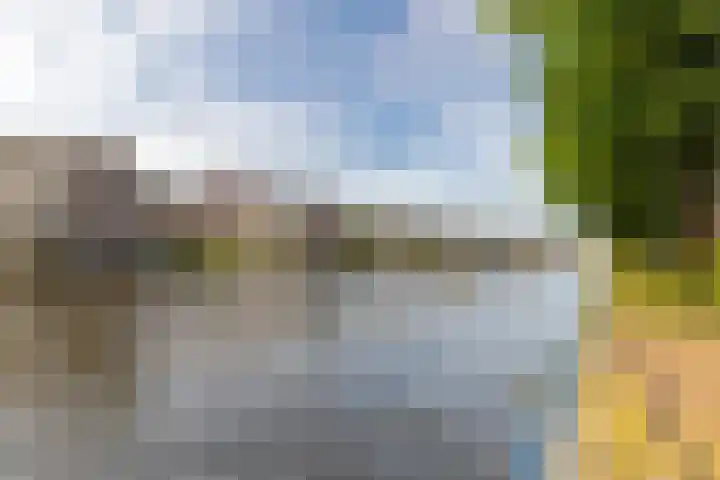 Marcantilaan 407 Amsterdam thumbnail 20