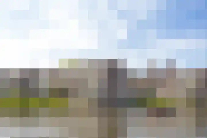 Marcantilaan 407 Amsterdam thumbnail 21