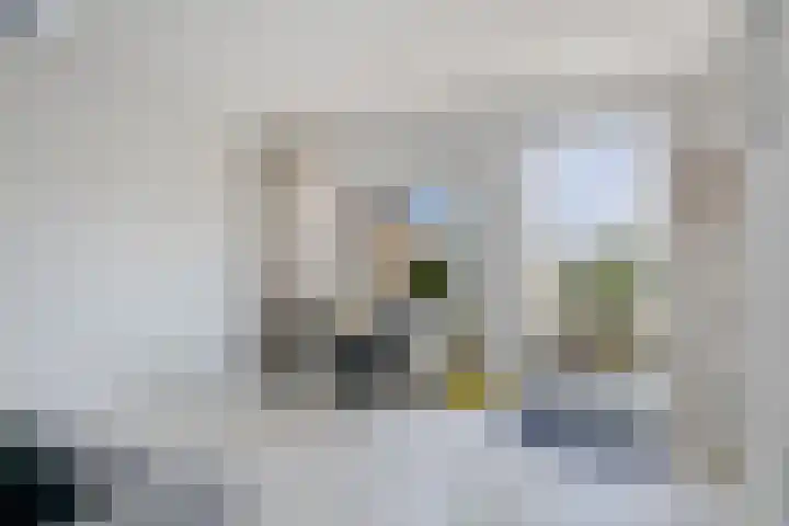 Marcantilaan 407 Amsterdam thumbnail 5