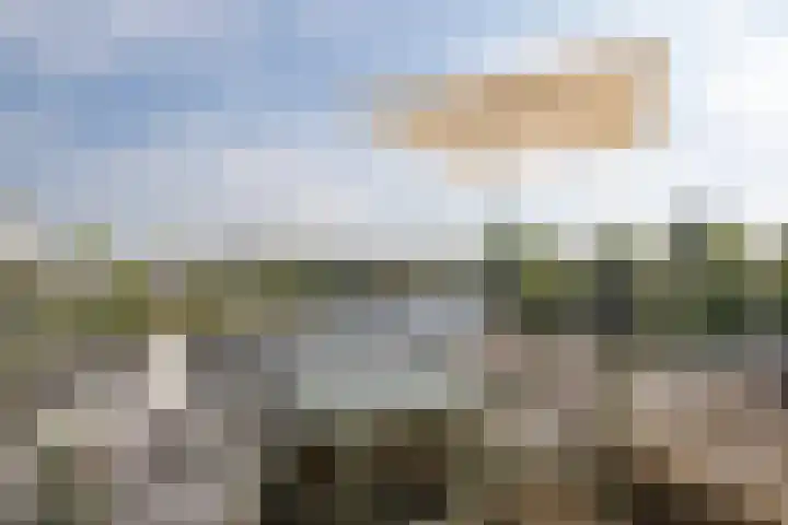 Marcantilaan 407 Amsterdam thumbnail 6