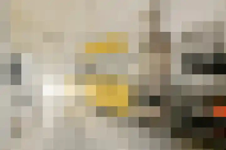 Marcantilaan 420 Amsterdam thumbnail 17