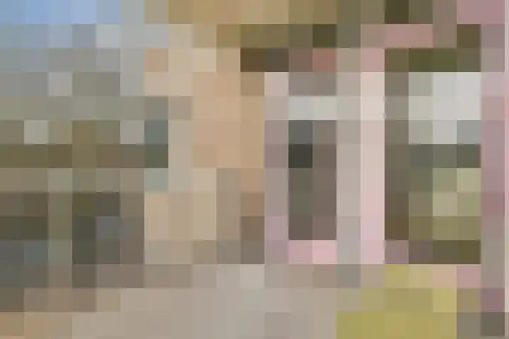 Marcantilaan 420 Amsterdam thumbnail 22