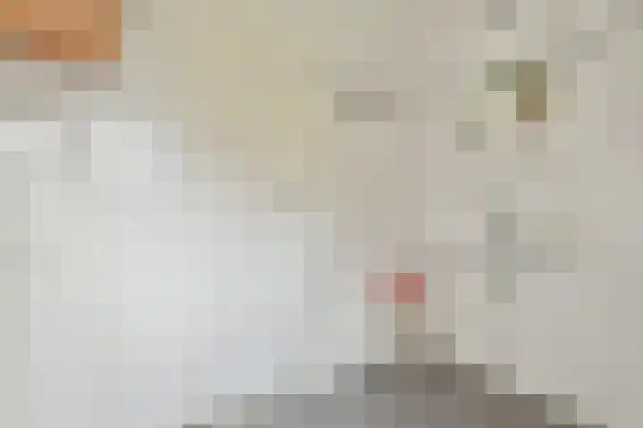 Marcantilaan 420 Amsterdam thumbnail 26