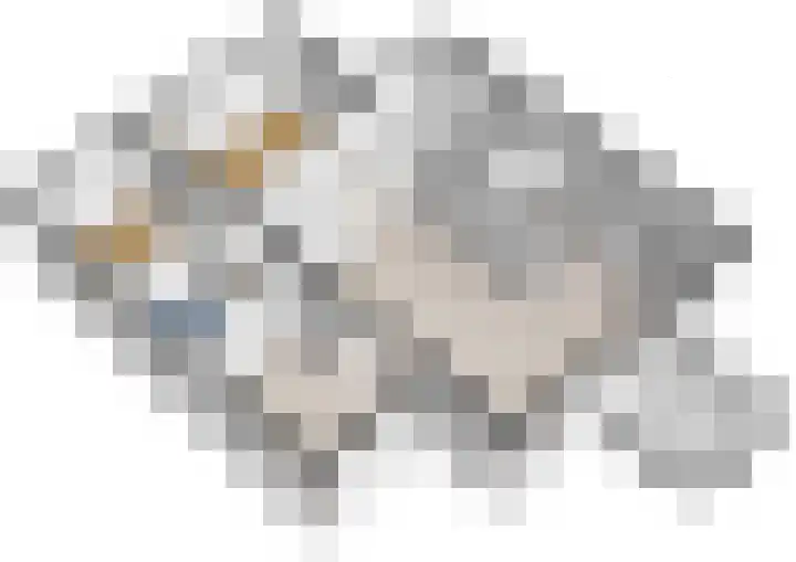 Marcantilaan 420 Amsterdam thumbnail 32