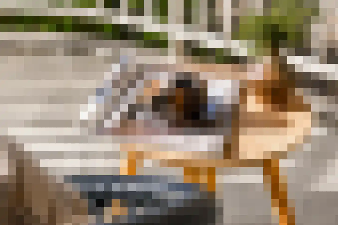 Marcantilaan 427 Amsterdam thumbnail 13