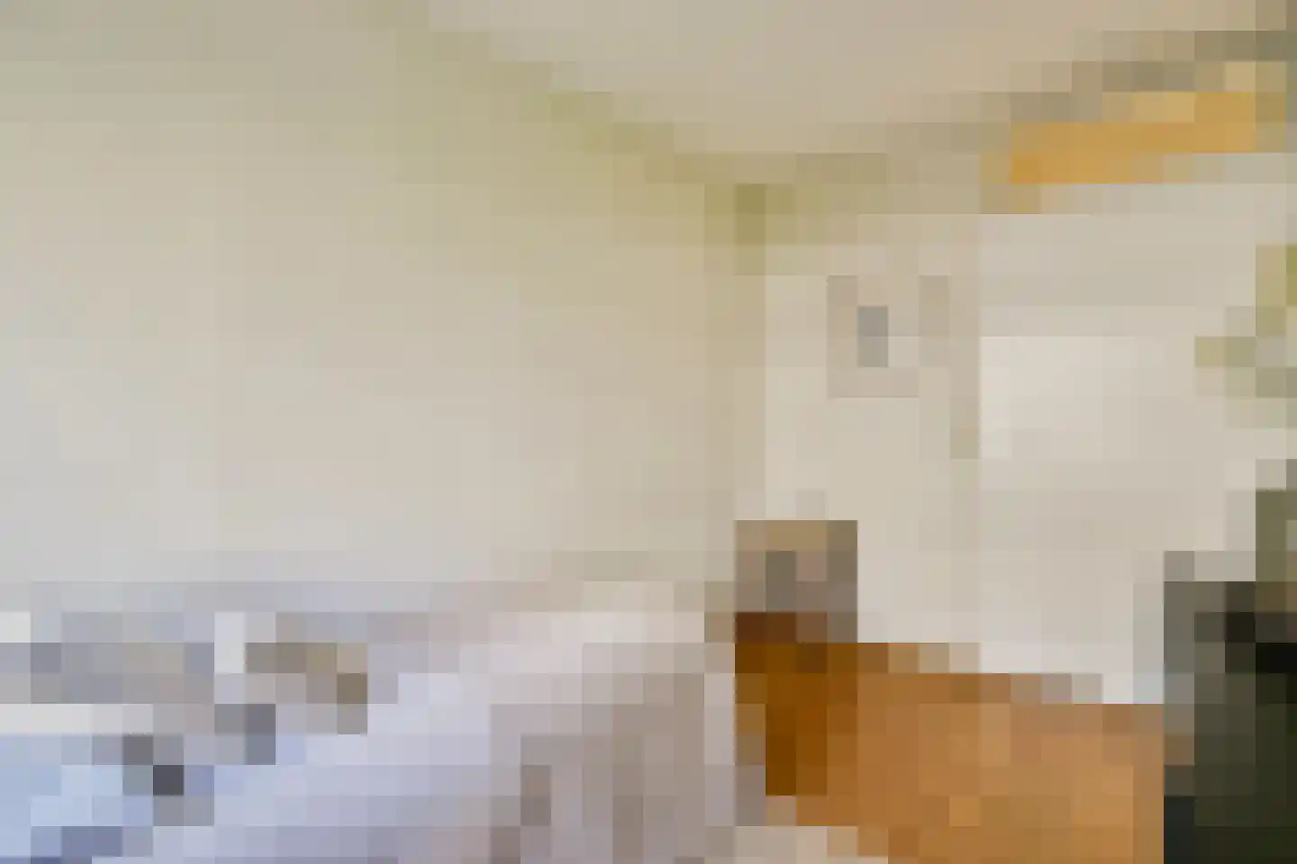 Marcantilaan 427 Amsterdam thumbnail 17