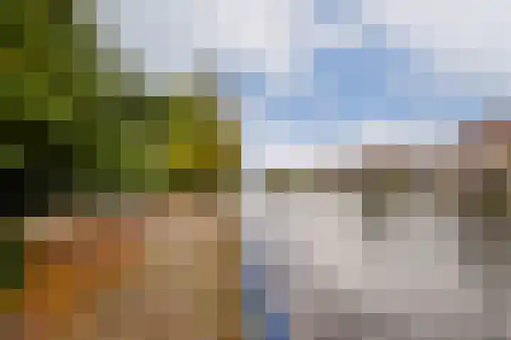 Marcantilaan 427 Amsterdam thumbnail 19