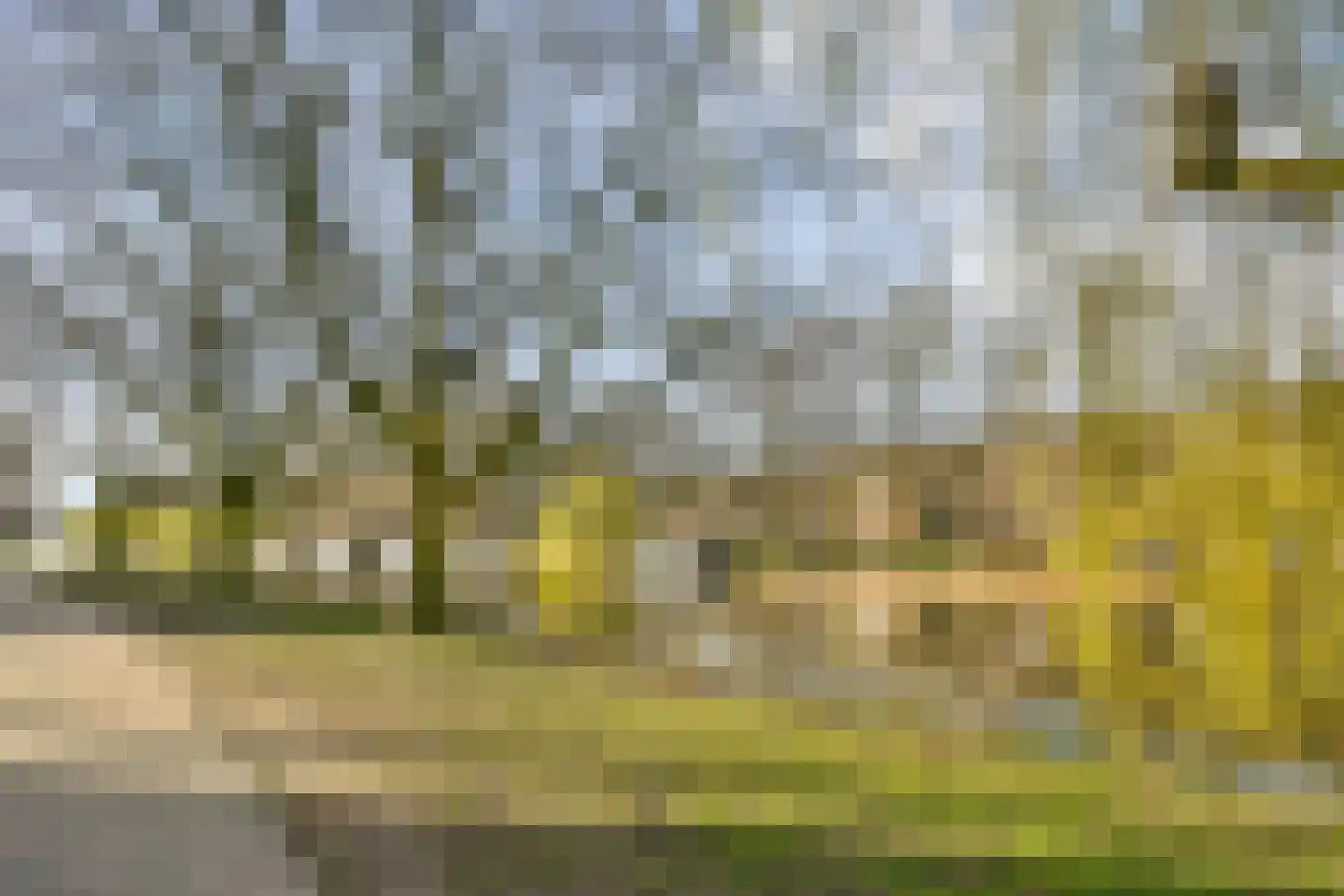 Marcantilaan 427 Amsterdam thumbnail 25