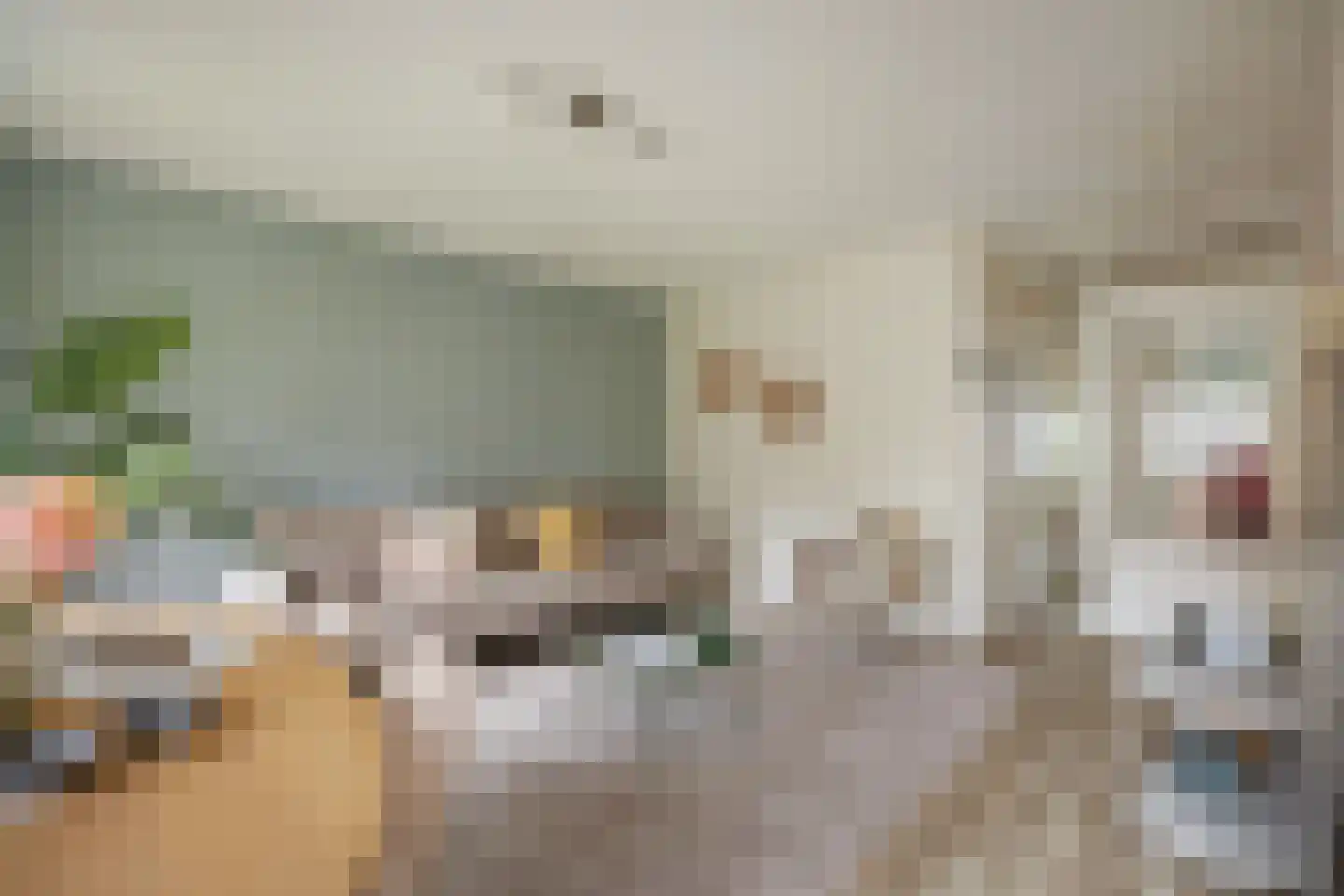 Marcantilaan 428 Amsterdam thumbnail 11