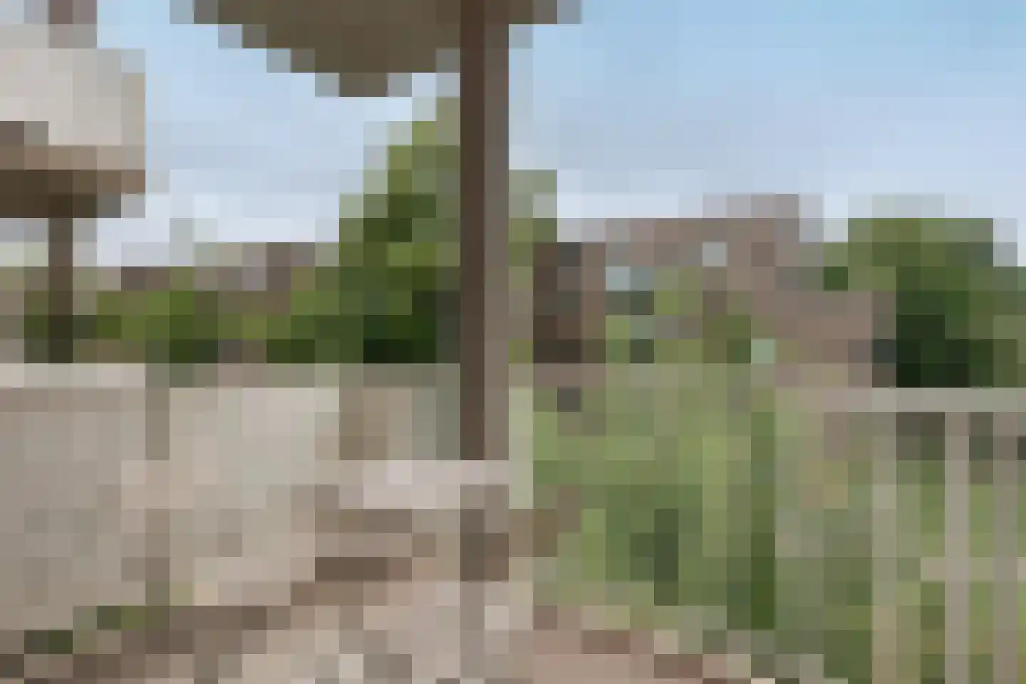 Marcantilaan 428 Amsterdam thumbnail 12