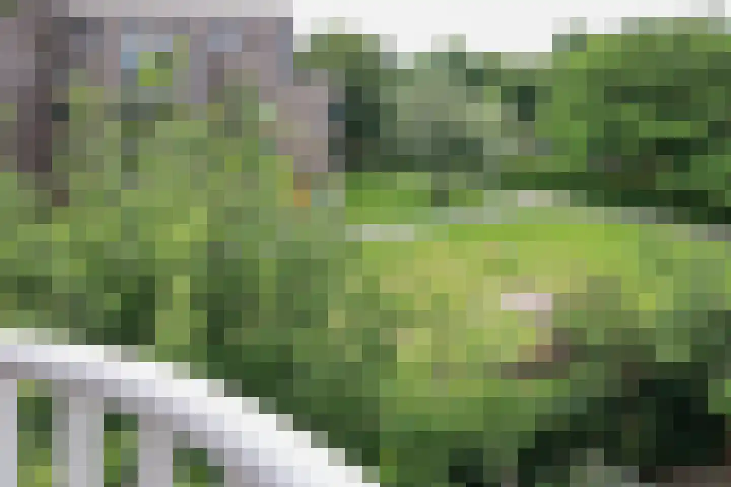 Marcantilaan 428 Amsterdam thumbnail 14
