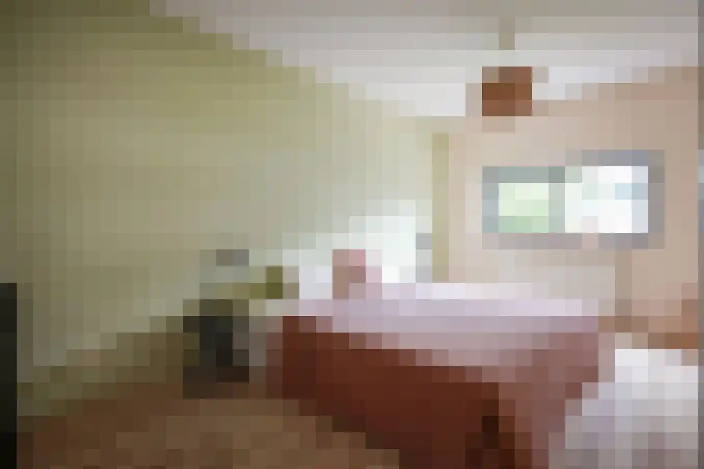 Marcantilaan 428 Amsterdam thumbnail 15