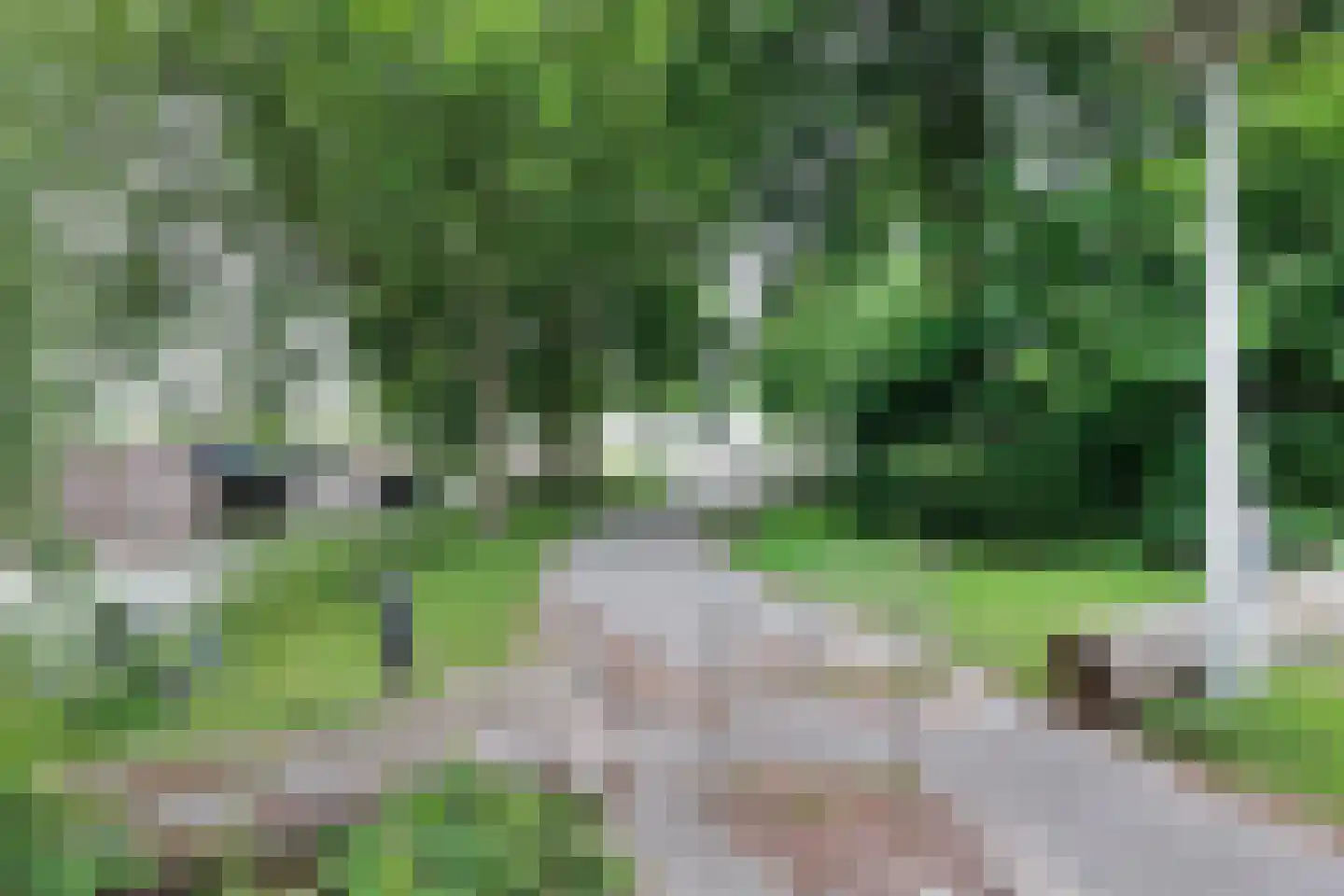 Marcantilaan 428 Amsterdam thumbnail 23